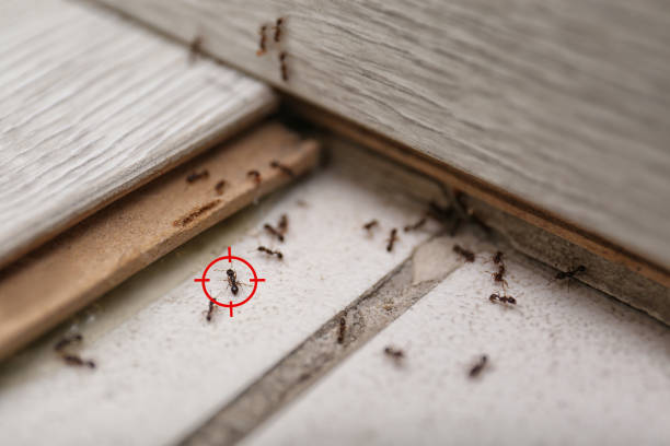 Mchenry, IL Pest Control Company