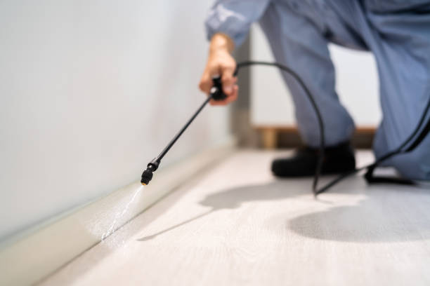 Best Pest Prevention Services  in Mchenry, IL