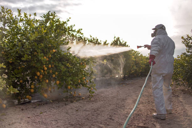 Best Pest Removal Services  in Mchenry, IL