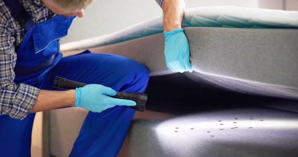 Best Rat Extermination Near Me  in Mchenry, IL