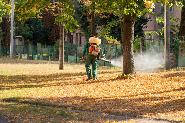 Pest Control for Restaurants in Mchenry, IL