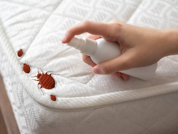 Best Insect Control  in Mchenry, IL
