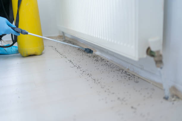 Best Local Pest Control Services  in Mchenry, IL