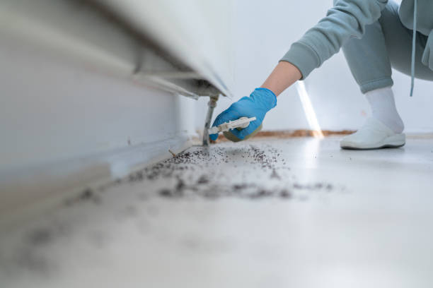 Best Affordable Pest Control Services  in Mchenry, IL